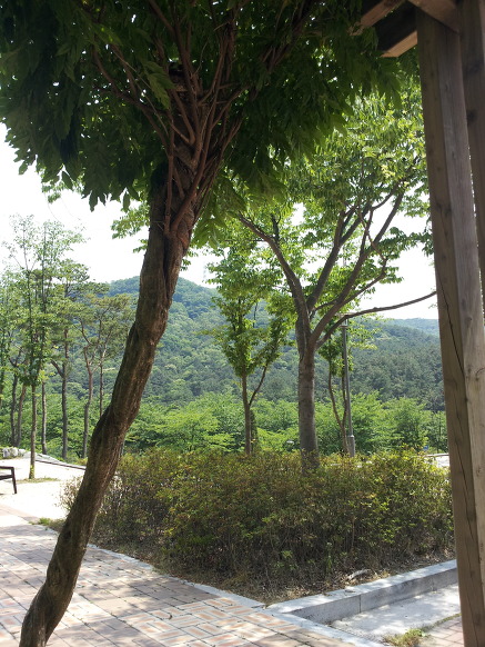 하루 10분 프로젝트