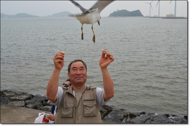 안산갈매기 이미지