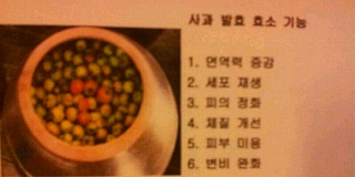 자연식품& 발효 효소 효능