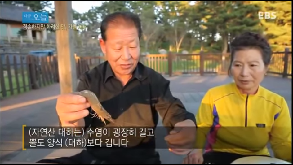 겸손하지만 화려한 맛, 가을 새우