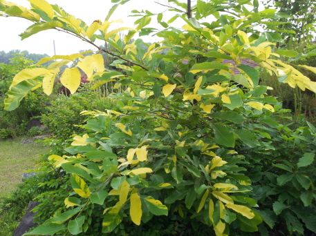 2014년 5월 16일 오전 09:34