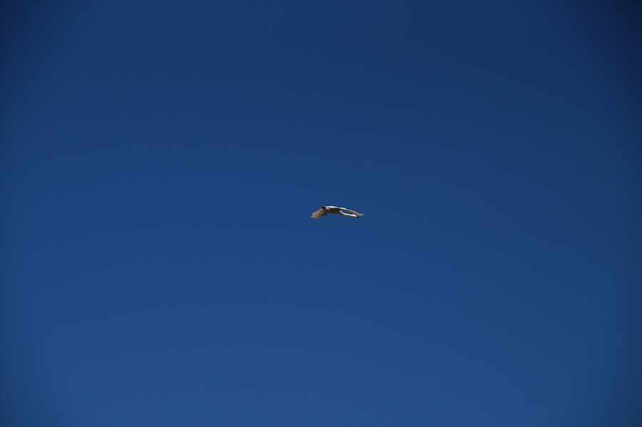 2426B74552BBDEC5185E3C
