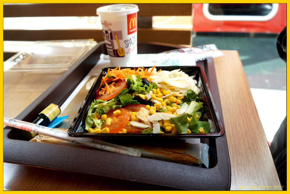 로마는 사랑일까요?