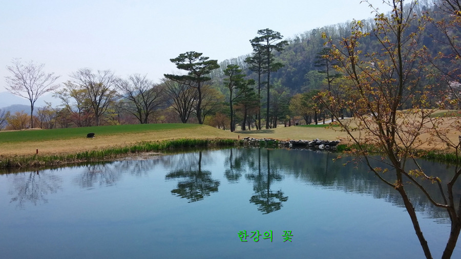 봄풍경