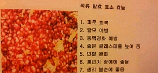 자연식품& 발효 효소 효능