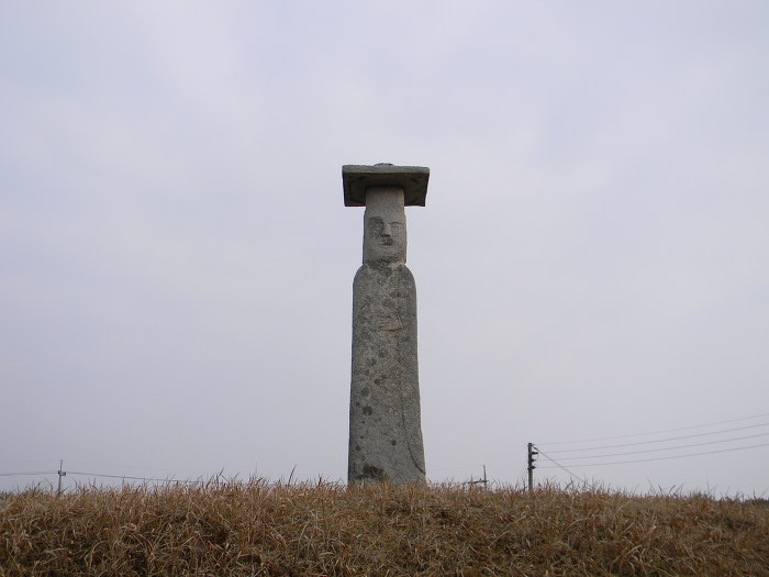 서로 애타게 바라보고 있는 익산 고도리 석불입상 (석조여래입상)