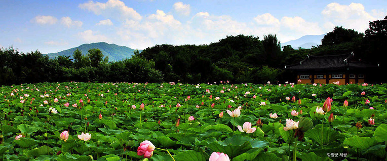 2519574057051715326FBB