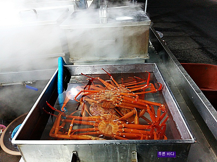 [후포] 바다 마실