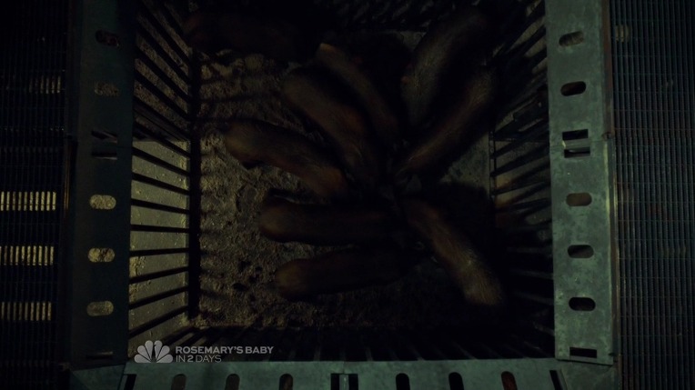 이젠홍콩인지욕망인지모르겠는미드 한니발(Hannibal) 시즌2 에피 11 KoNoMono (4/4) 스압주의 | 인스티즈
