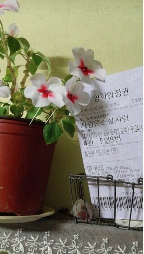 블로그 이미지
