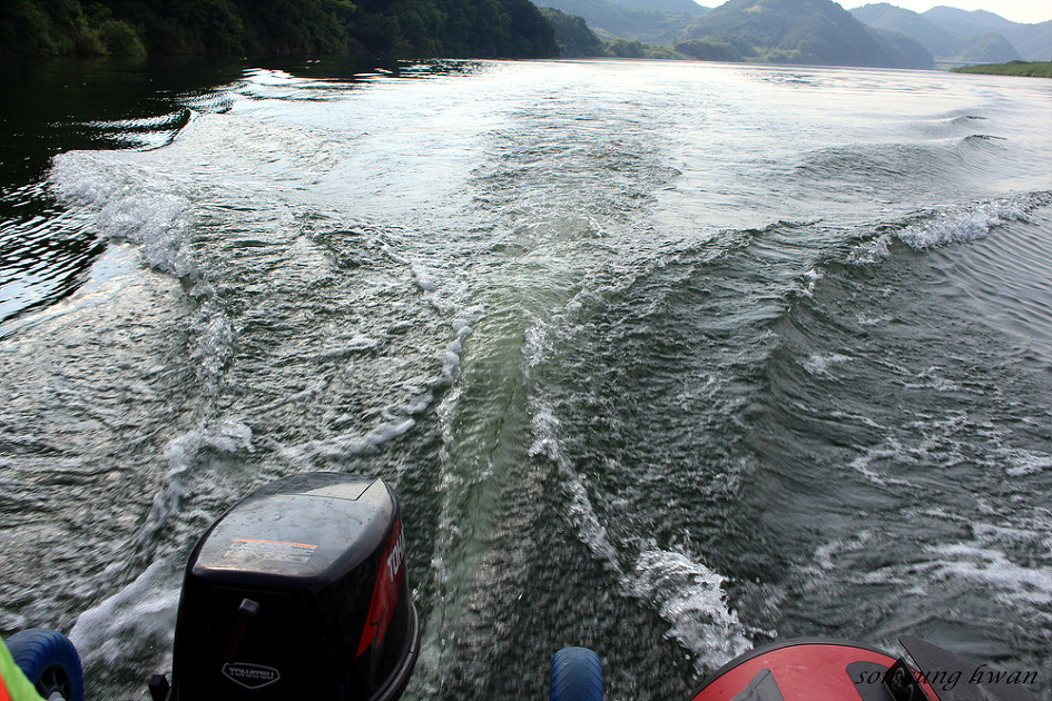 창원정크 시장 방문 및  낙동강 낚시