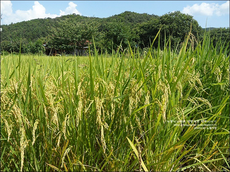 2721B14354170EC330CEAF