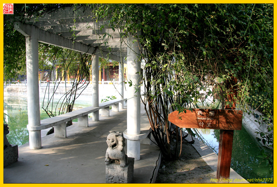 화타가 기가막혀~~