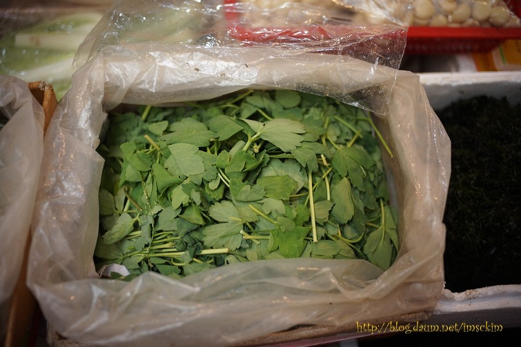 고수( 香菜 )가 있는 광장시장의 " 수원상회 "