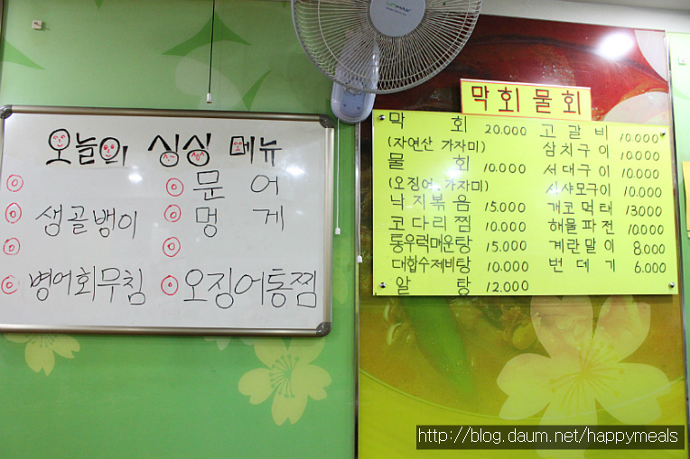 목동막회 이미지