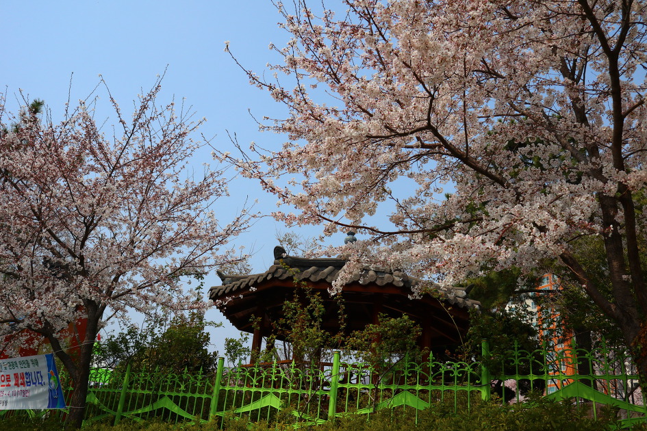 진해벚꽃명소인 경화역