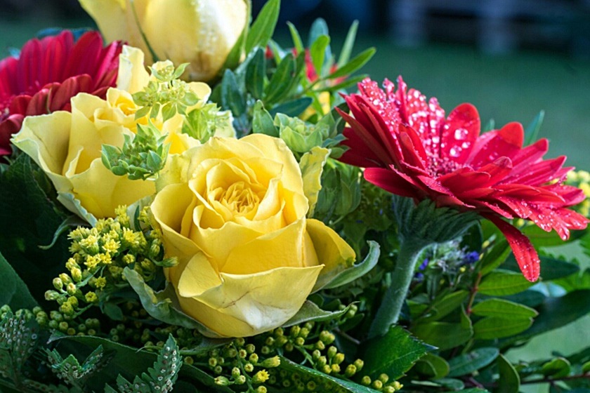 9906664E5CF4B27E1EBB28