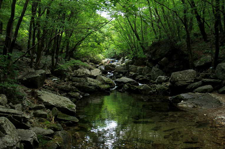 * 가평 유명산, 어비산, 어비계곡 산행기