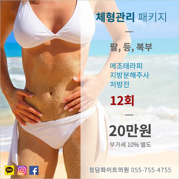 진주 다이어트 체형관리 패키지 가격 메조테라피 지방분해주사 사천 비만클리닉 청담화이트