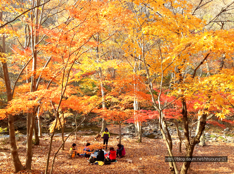 전북 순창에 있는 "호남의 소금강"이라는 강천산(剛泉山)에서...