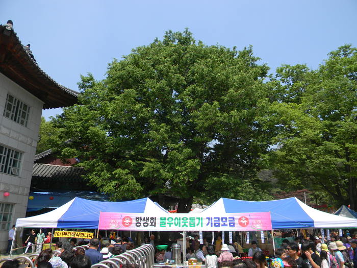 이돌영화사 이미지