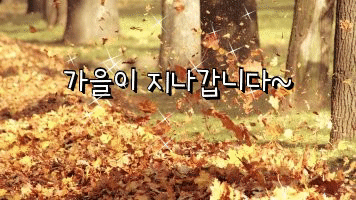 가을 이미지