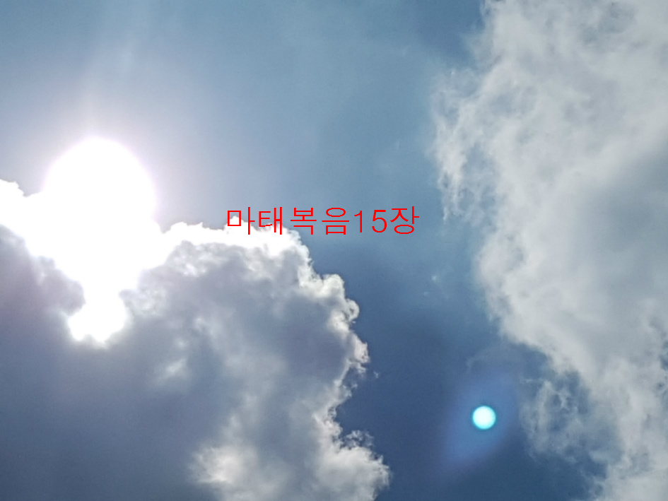 마태복음15장
