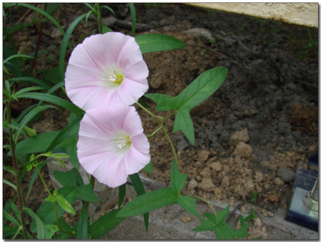 2018년 9월 21일 오전 11:30