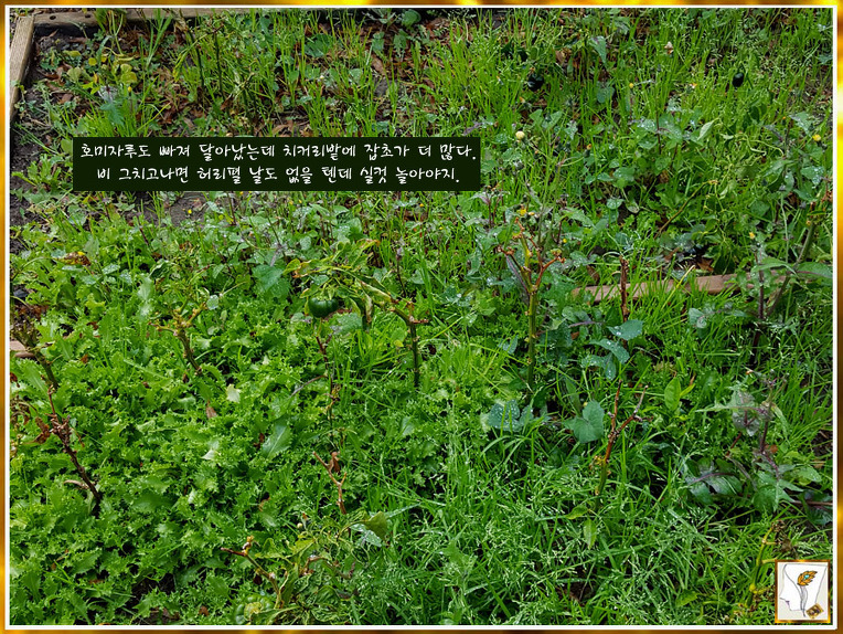 30 년 됐네