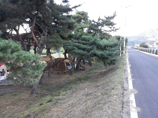 낙동강칠백리 이미지
