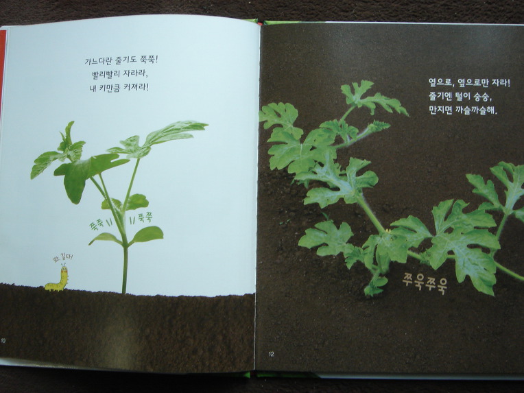 그레이트북스놀라운자연, 자연학습장이네요.놀라운자연 입니다.