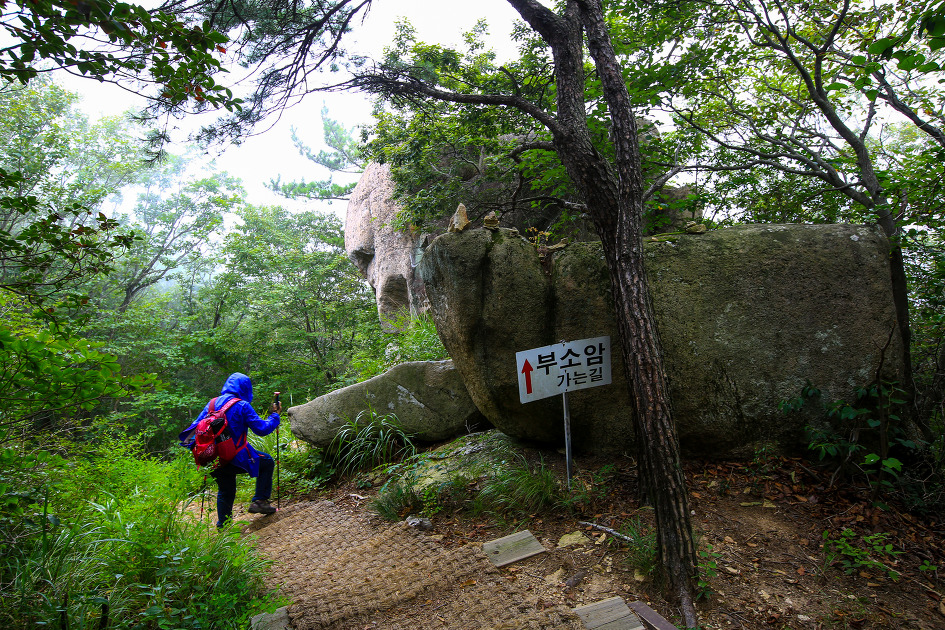 금산2 이미지