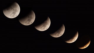 영계 자산관리인 부토이조(Buto Ijo)