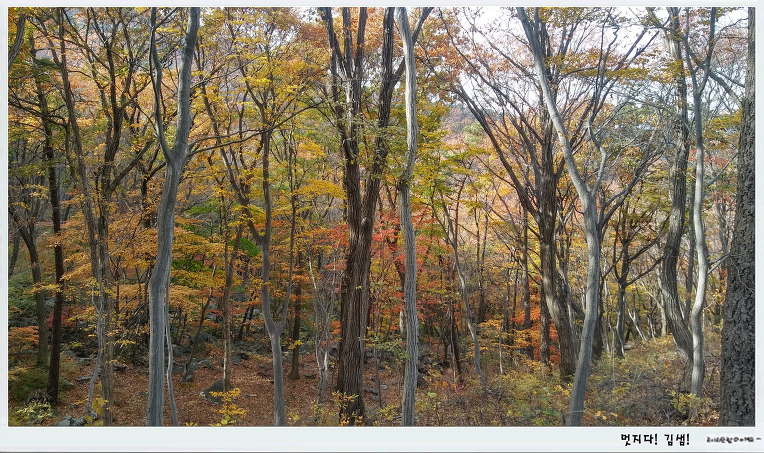 이런 사람 있습니다.