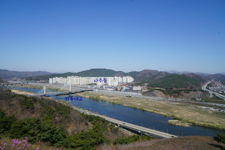 제철 맞은 대구 와룡산~