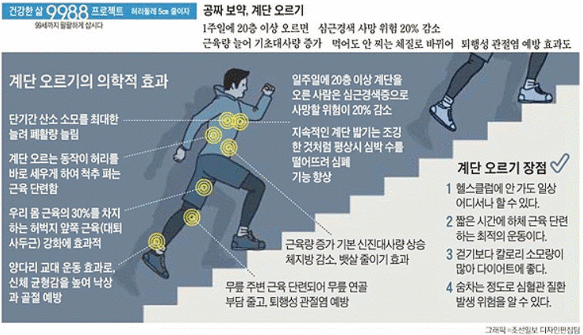 걷기운동의 방법 및 효과!!!