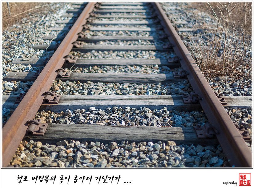 노고산의 바위들 이미지