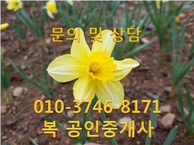 ♣ 대전 유성구 장대동 밝은 시설의 사무실, 대전 사무실 임대 시설, 유성 사무실 