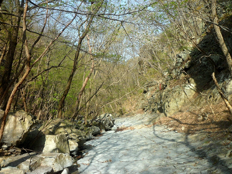 문수산 2019-04-06
