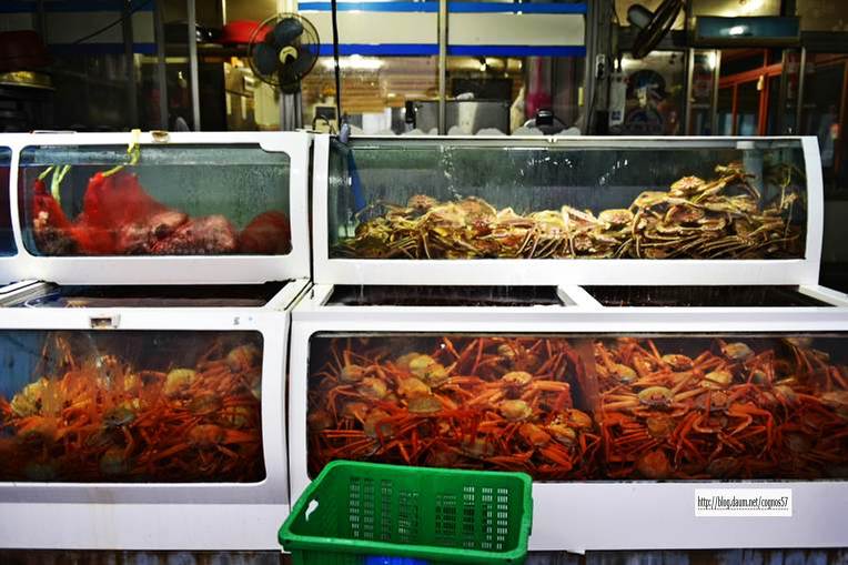 경상북도 울진여행 백암온천 원탕인 백암성류파크 관광호텔 [울진가볼만한곳]