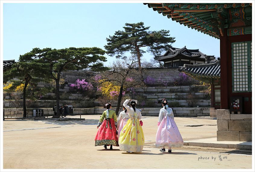 창경궁의 봄 풍경... 2019, 04, 04