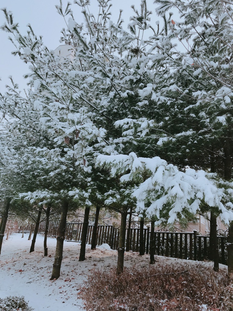 아름다운 겨울 풍경~!!