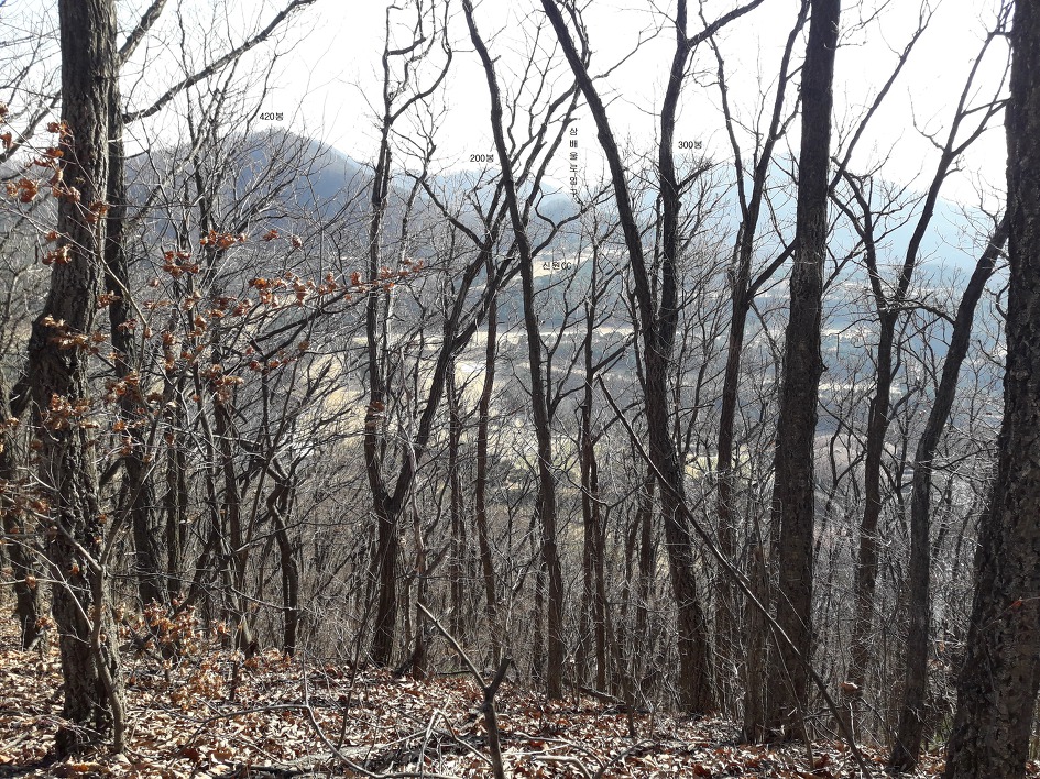 사면치기로 오른 쌍영산과 바래기산,굴암산 산행(2019년3월24일)