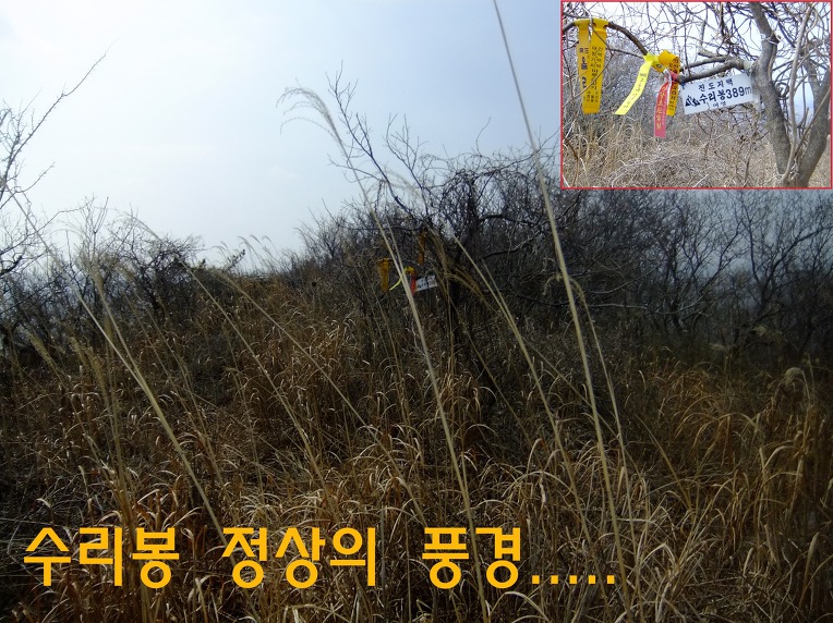 진도문화원 이미지