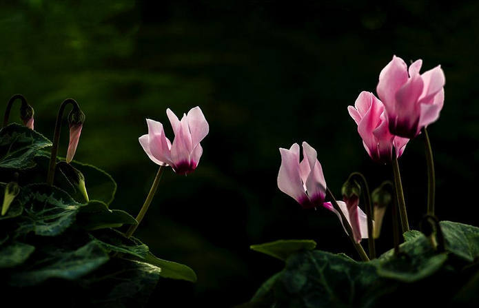 노화를 늦추는 정말 쉬운 방법,한 발 서기