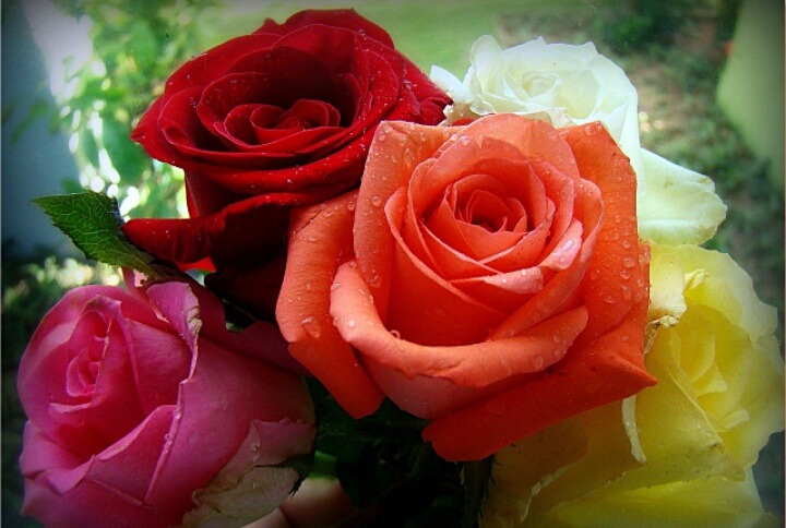 9985994E5CC1814323E62F