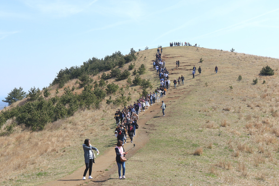 제주4.3바로알기 역사탐방 성산일출봉 우뭇개해안 ,터진목,용눈이오름