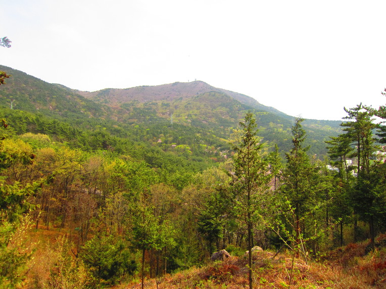 부산 해운대 장산(2019. 04. 08)