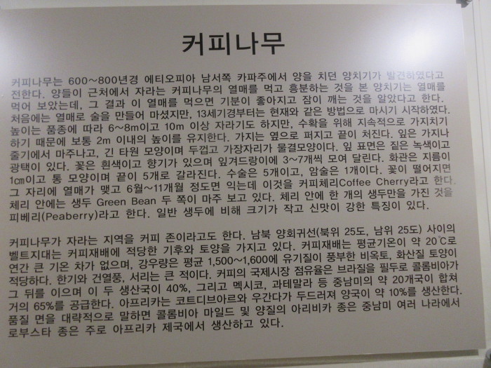 화천산천어축제(3)/최고의겨울축제/실내얼음조각광장/산천어커피박물관