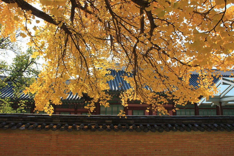 2012년 '아주 분주했던 그날'을 회상하며     (20121103)
